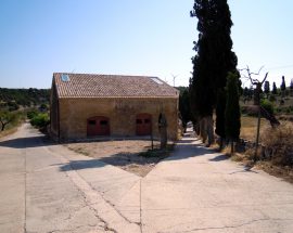 DSCN0381