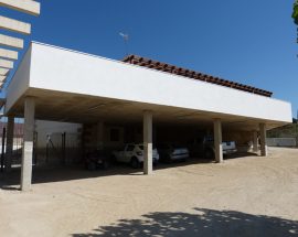 P1130250p
